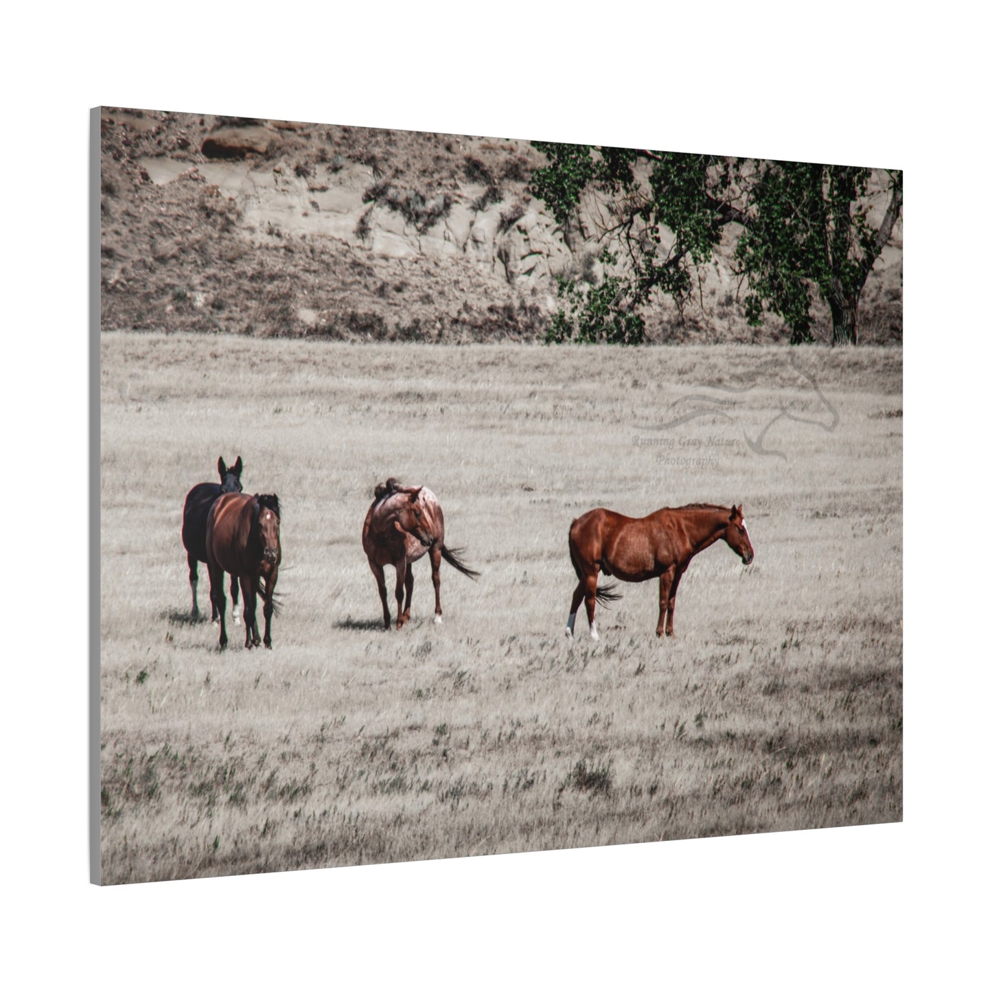 Not everything is Black and White