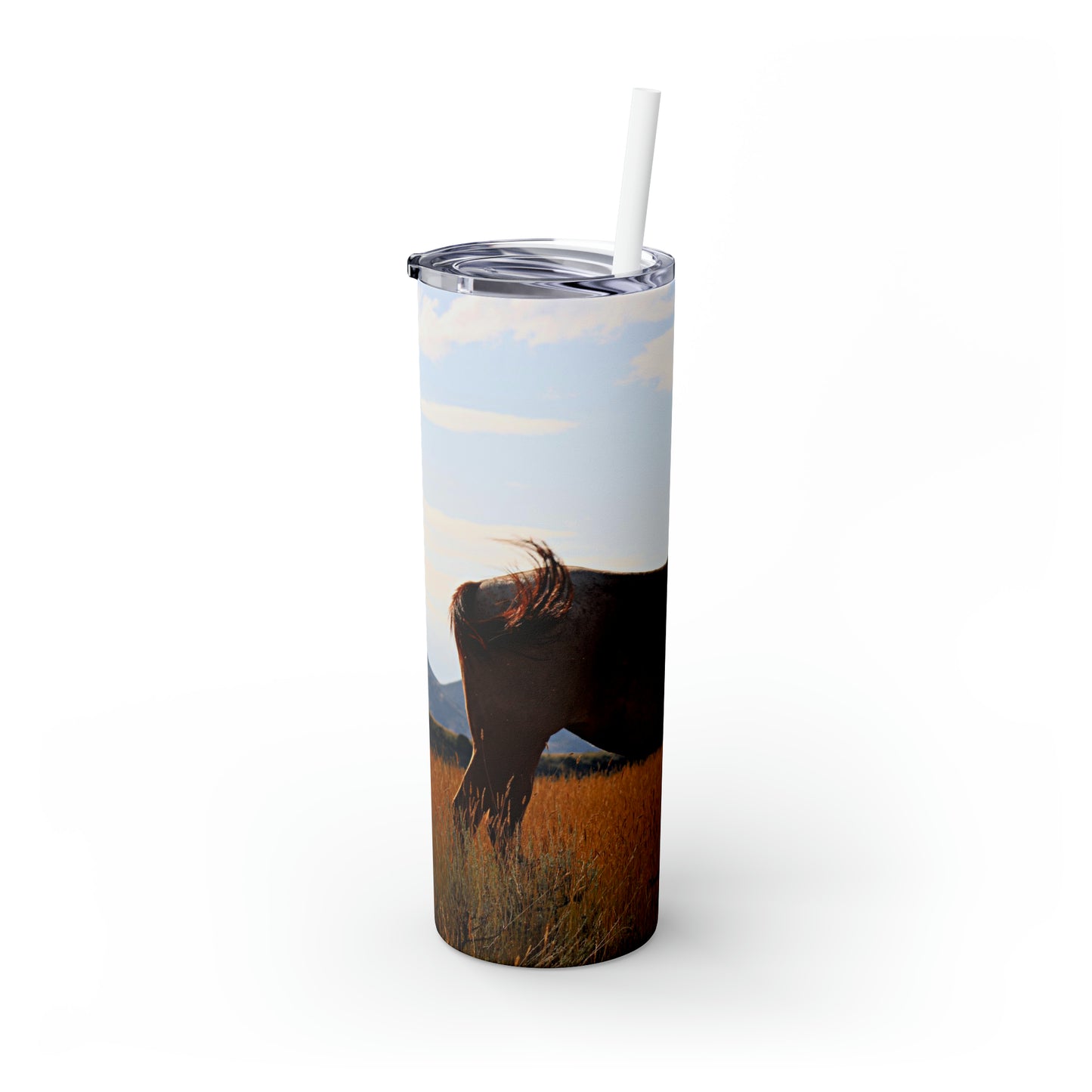 Fly Flicker Skinny Tumbler with Straw, 20oz