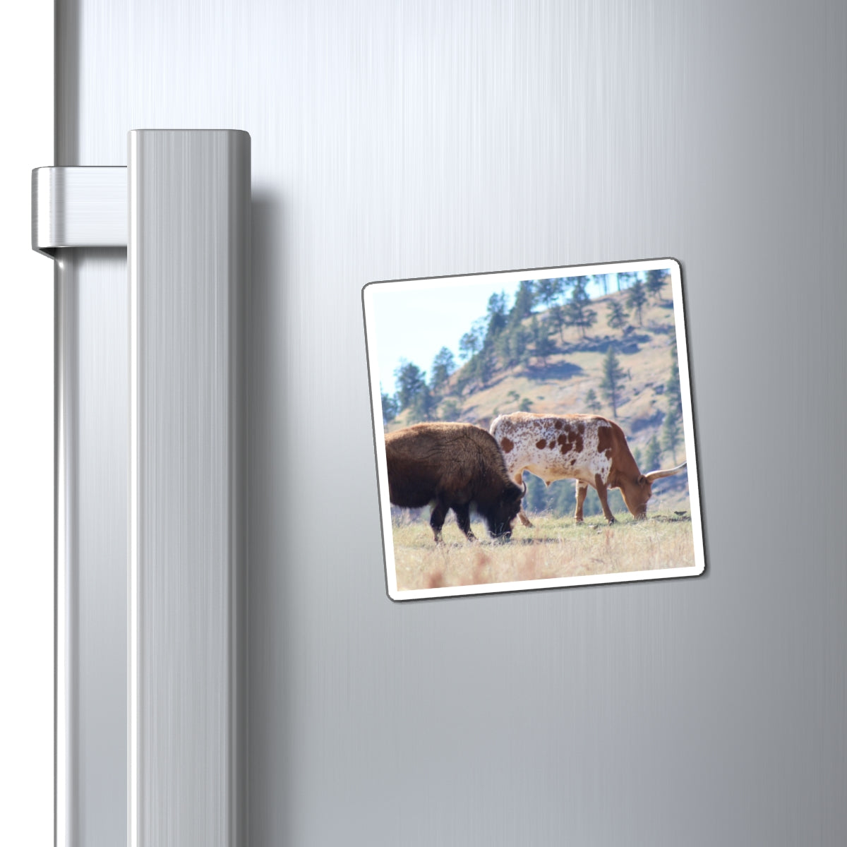 Magnets