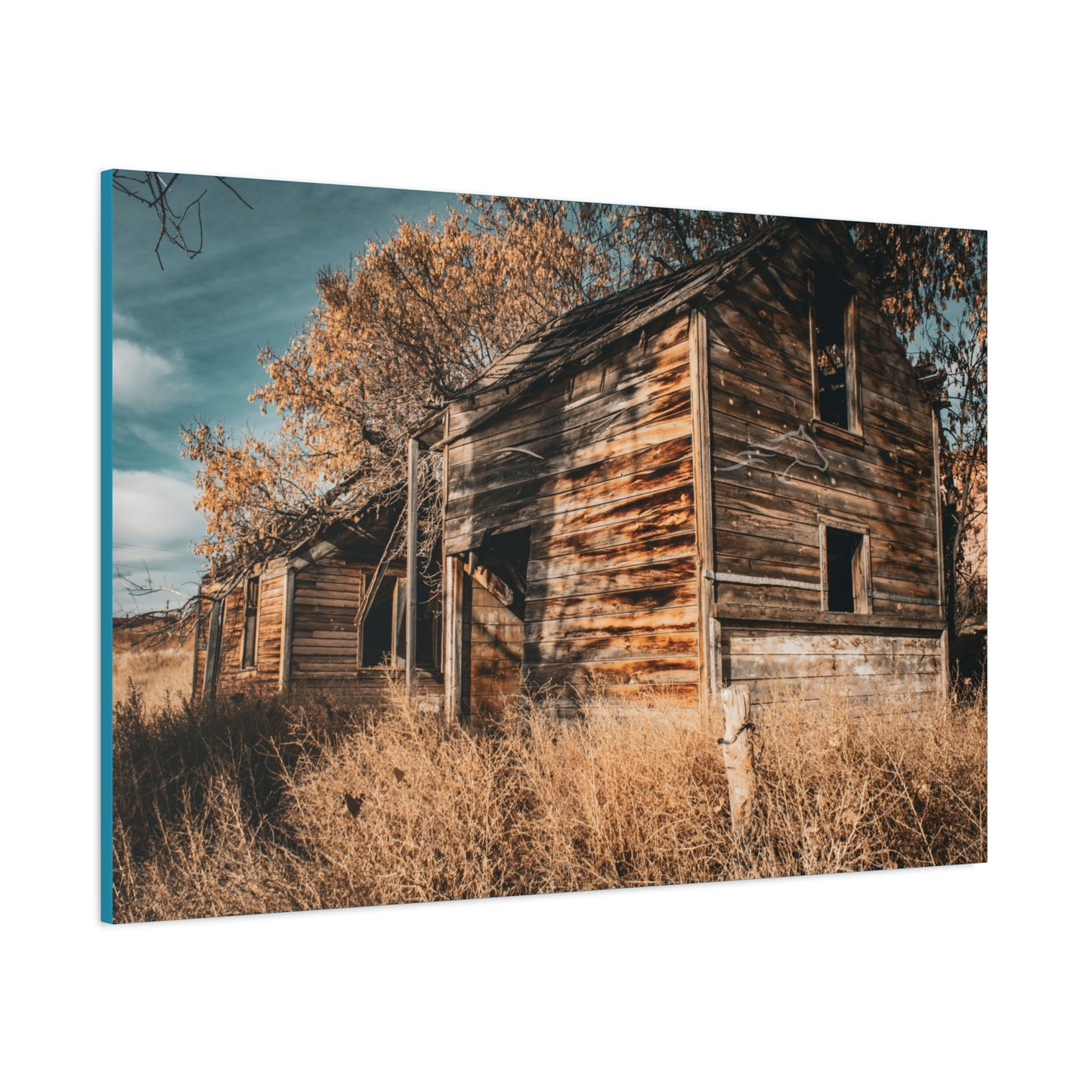 Vintage Cottage Canvas
