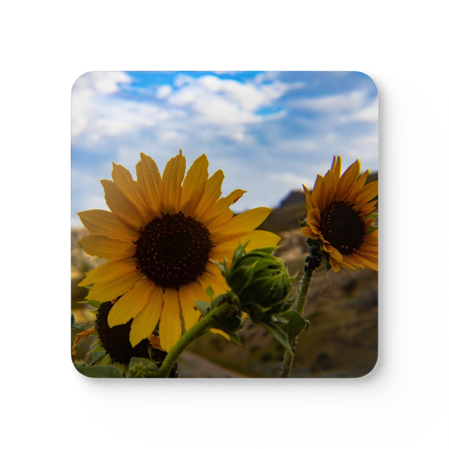 Sunflower Corkwood Coaster Set