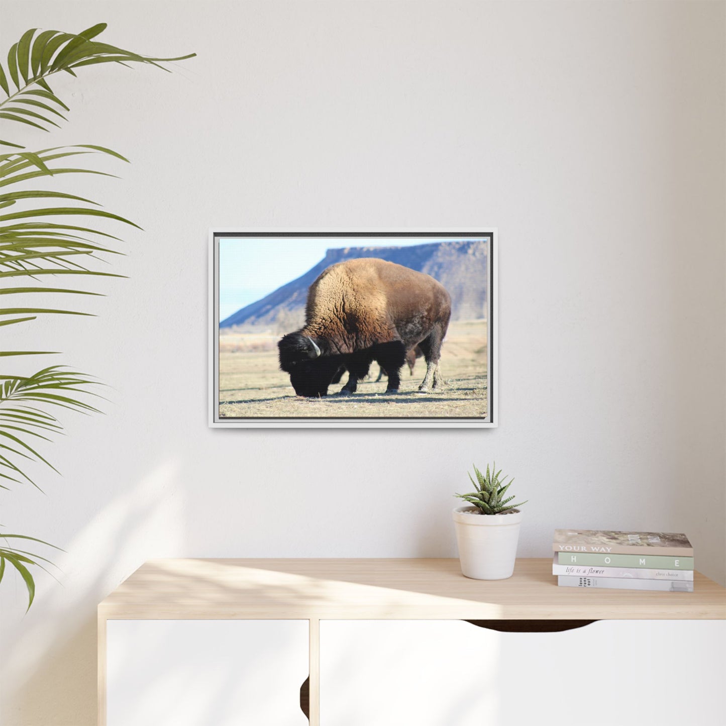 Big Daddy Buffalo Framed Canvas