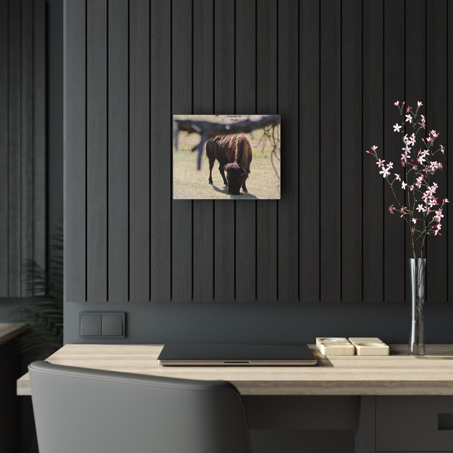 Buffalo Acrylic Prints