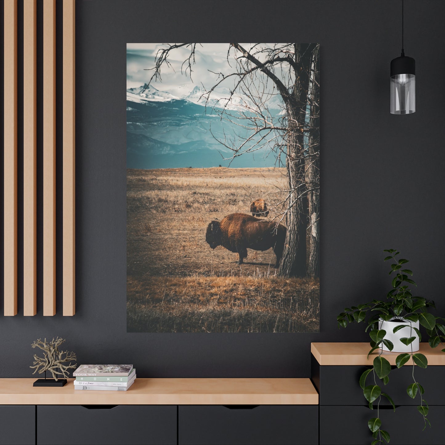 Rustic Bison Mountain Canvas