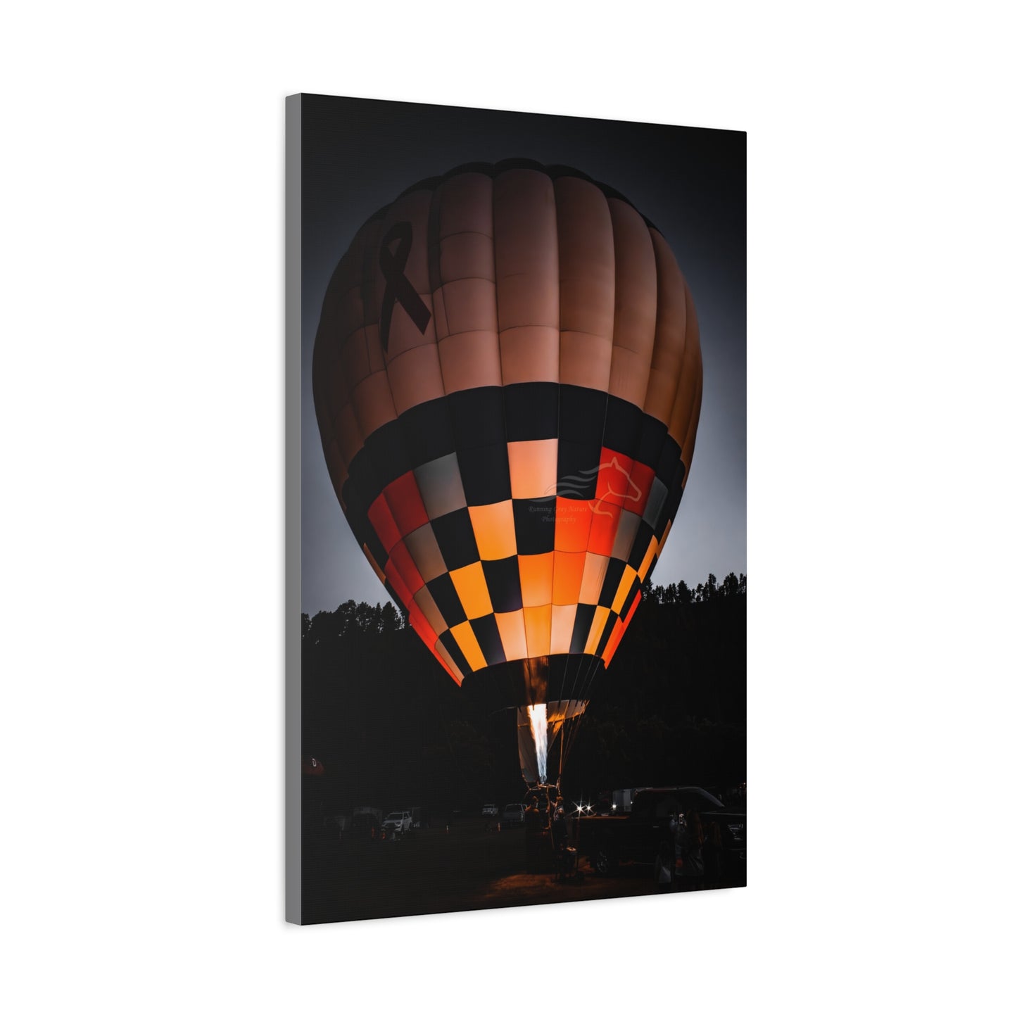 Hot Air Balloon Canvas