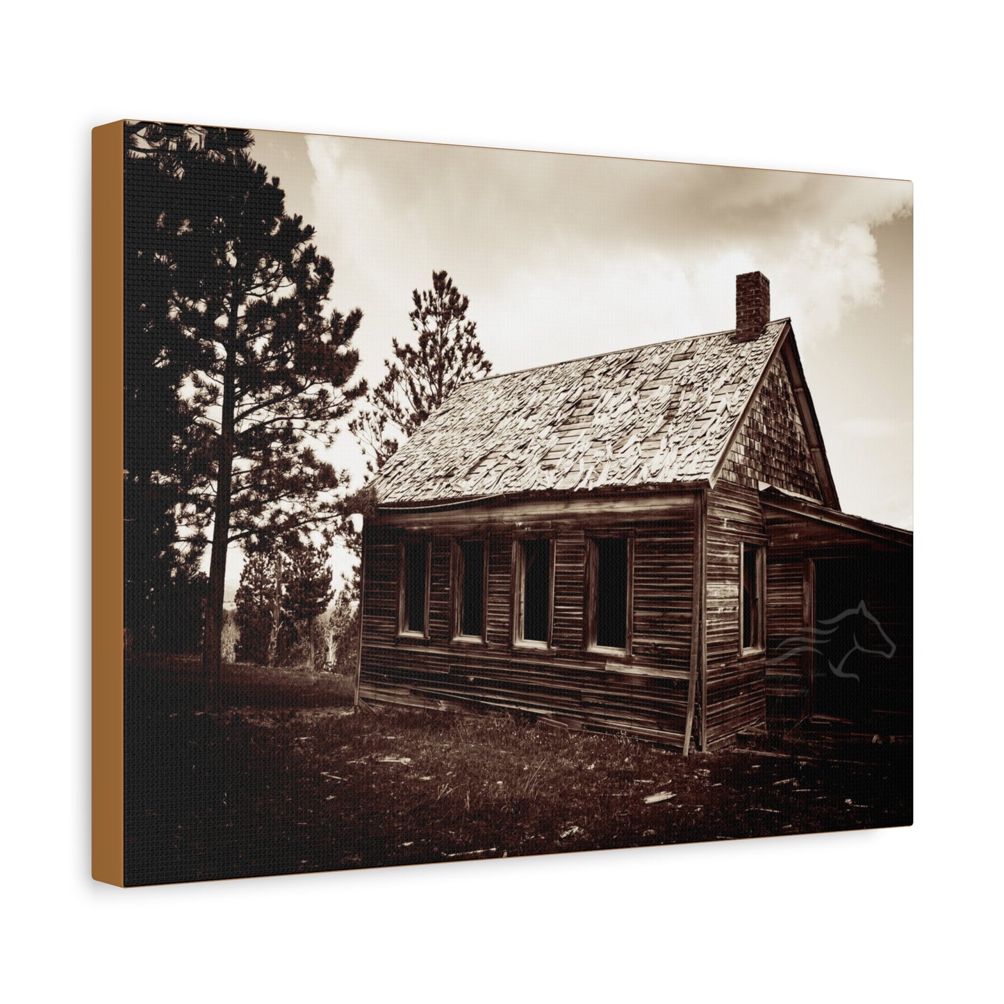 Rustic Bunk House Canvas