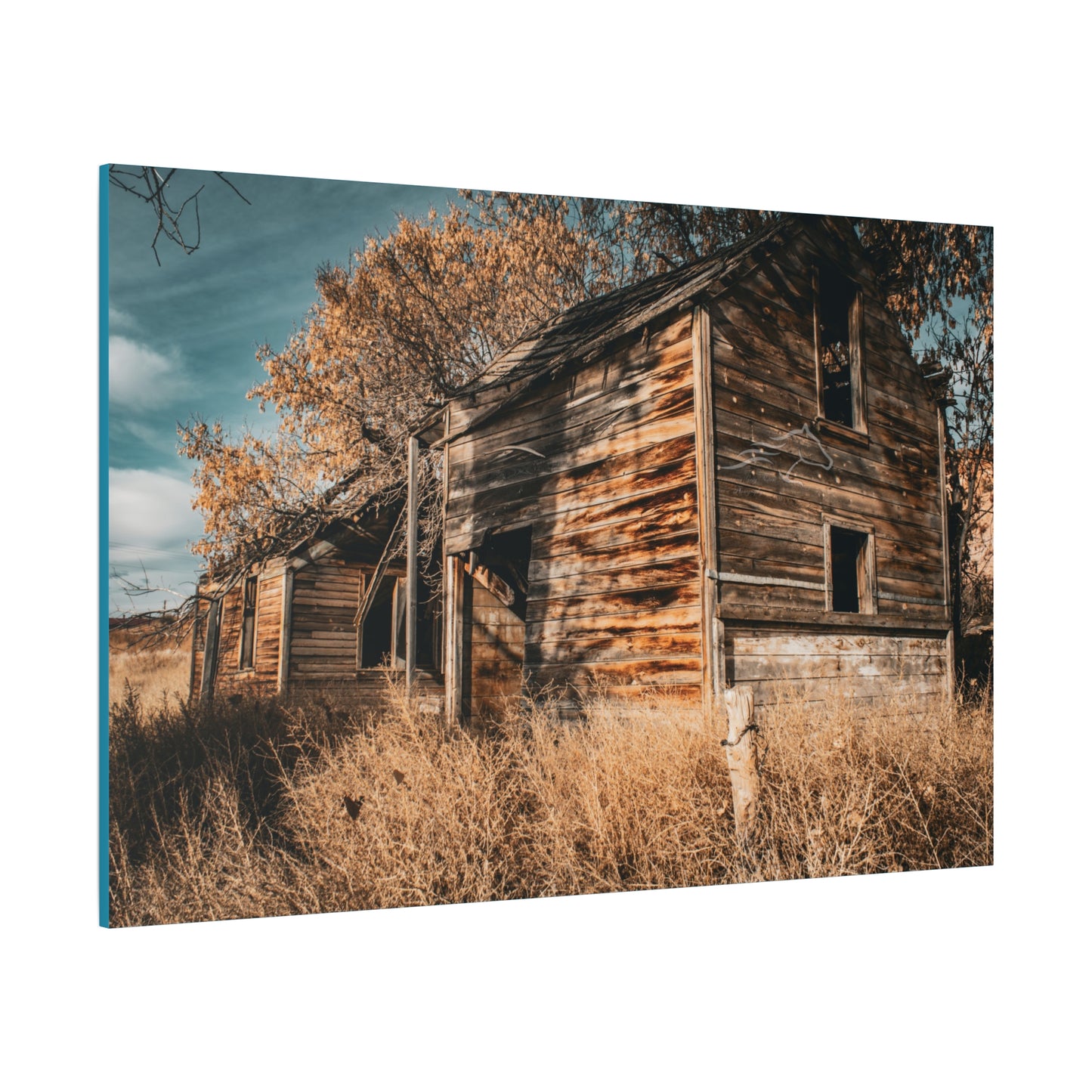 Vintage Cottage Canvas