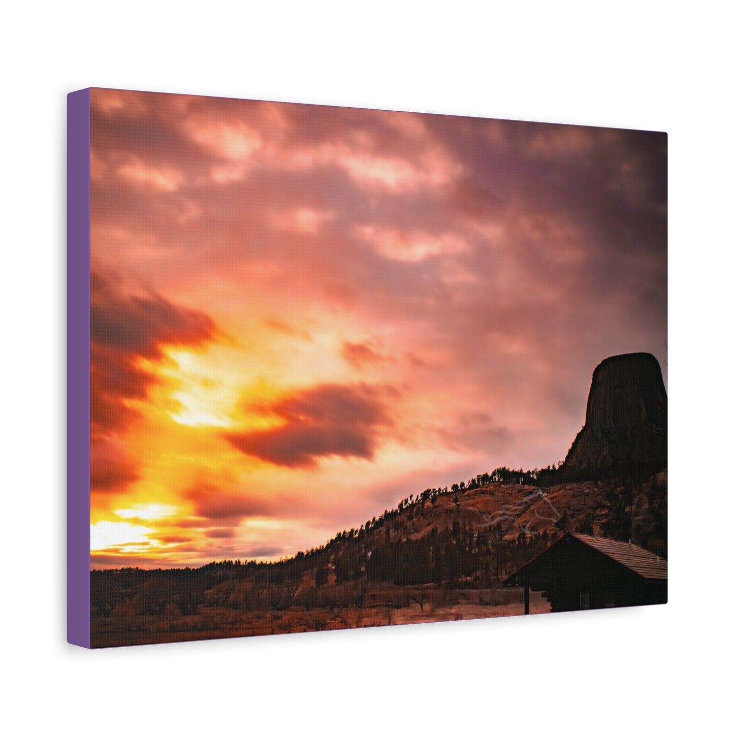 Devils Tower Canvas