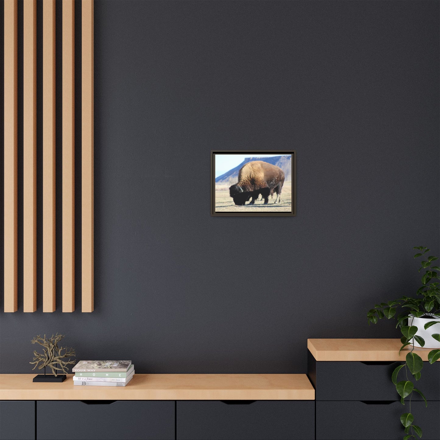Big Daddy Buffalo Framed Canvas