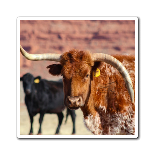 Mismatch Long Horn Magnets
