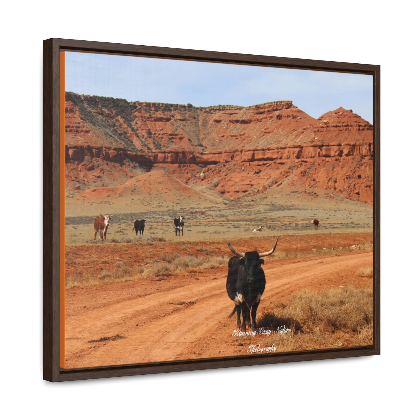 Long Horn Gallery Canvas Wraps, Horizontal Frame