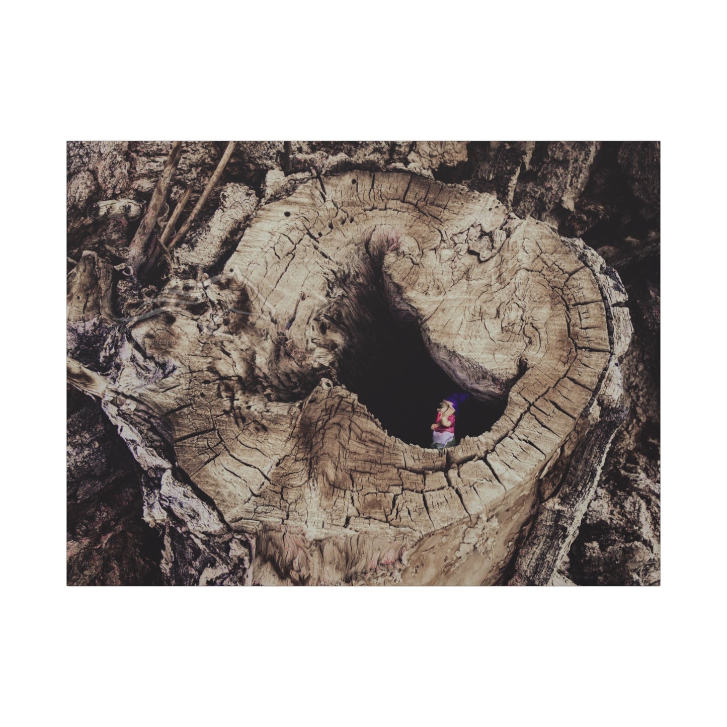 Fairy in a Tree Canvas