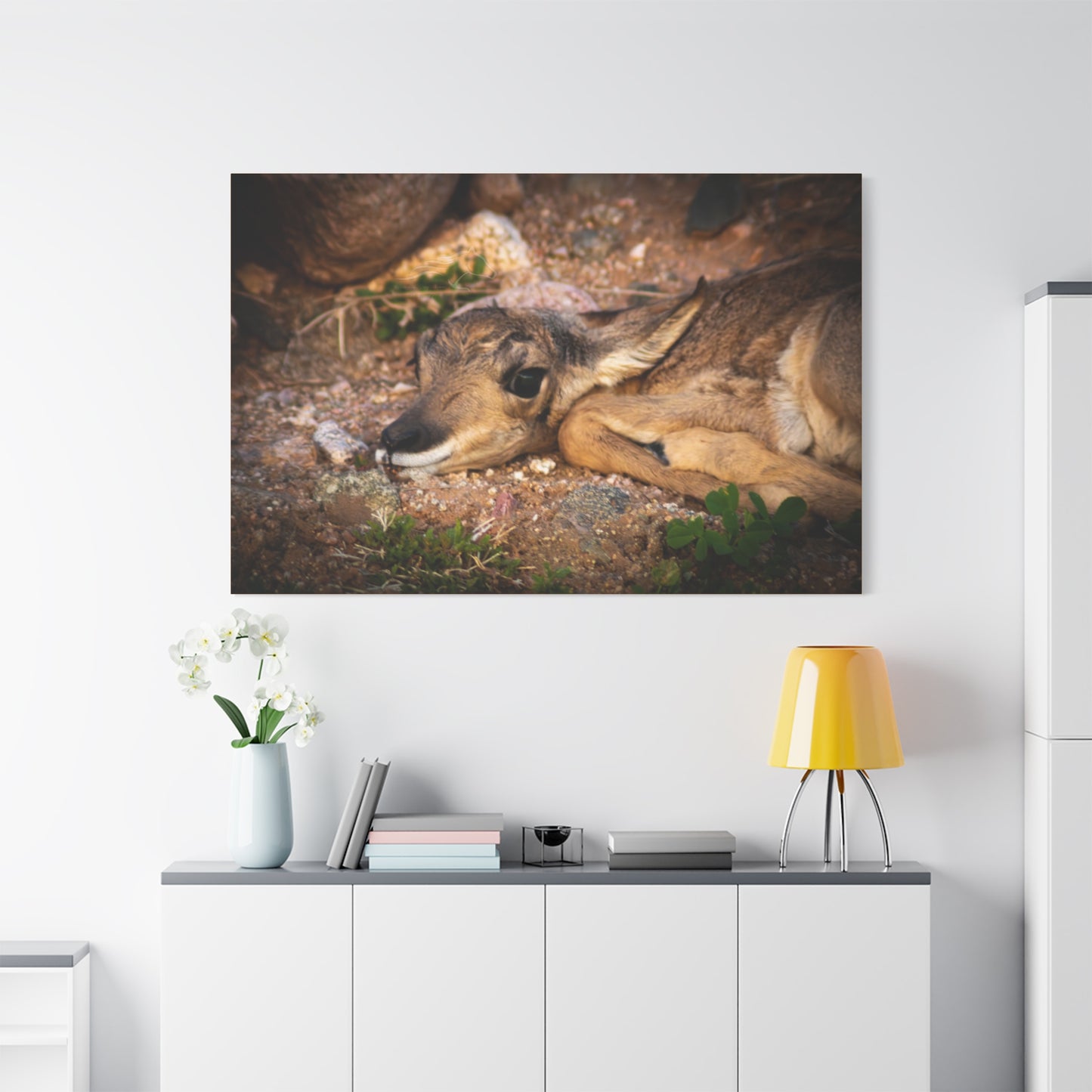 Baby Antelope Canvas