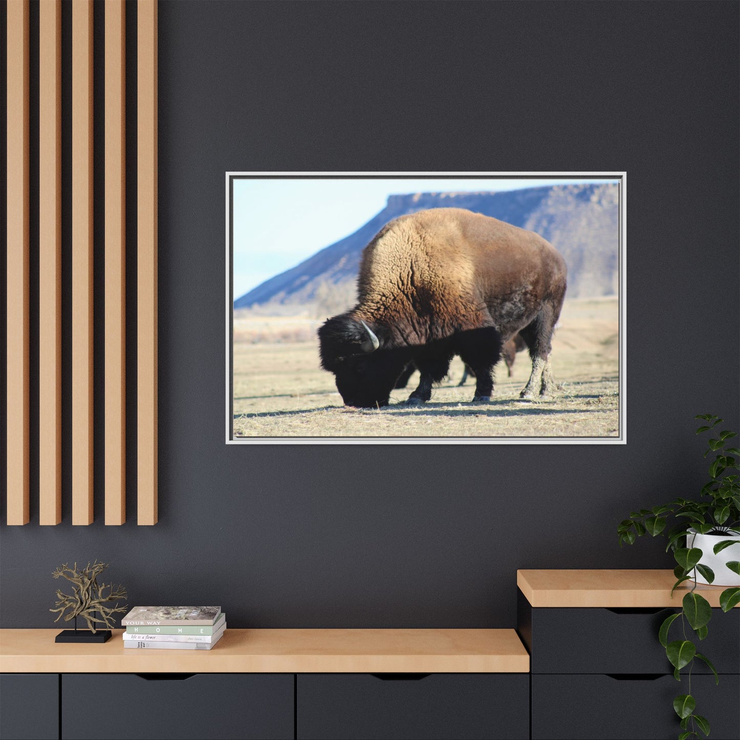 Big Daddy Buffalo Framed Canvas