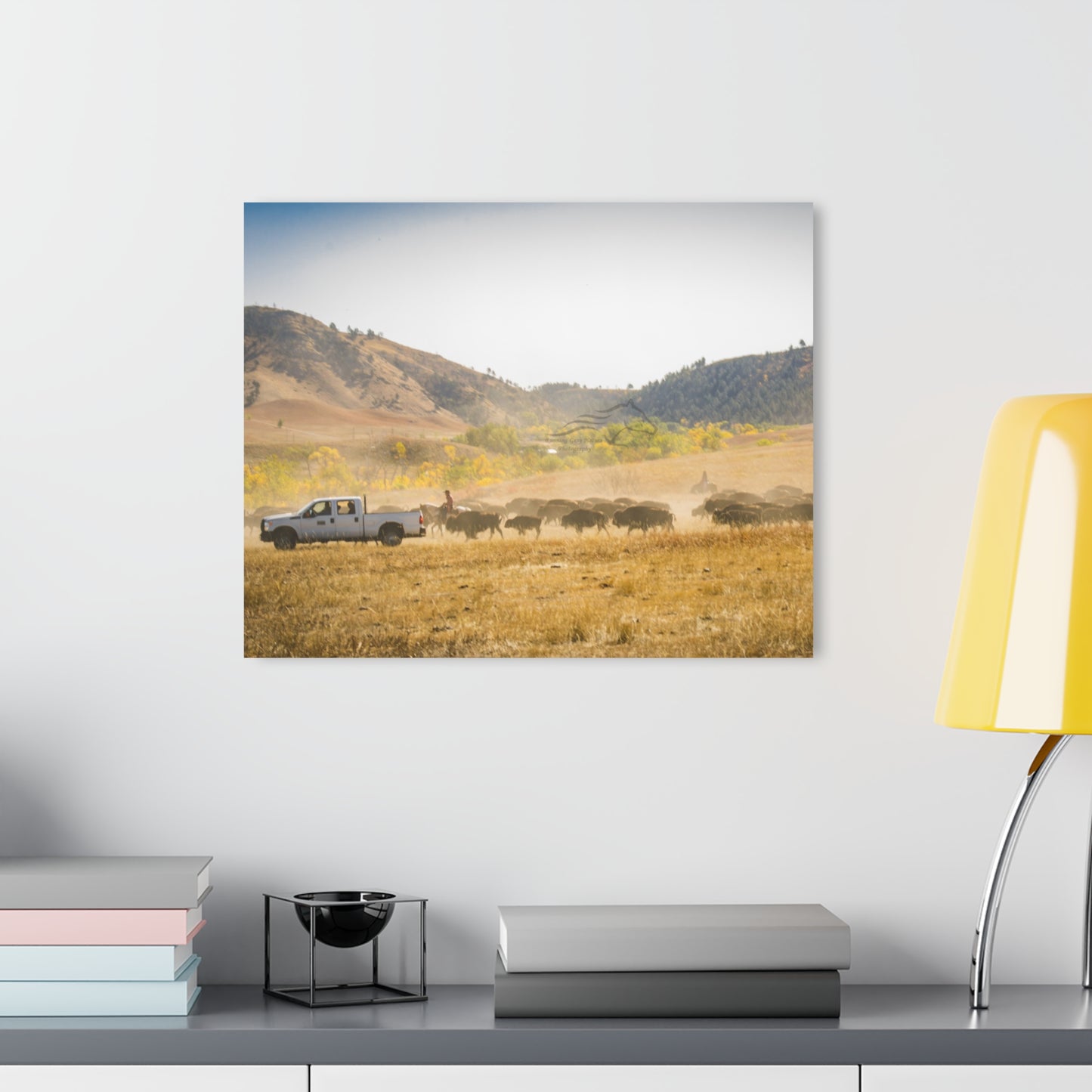 Trucks in the Buffalo Round Up Acrylic