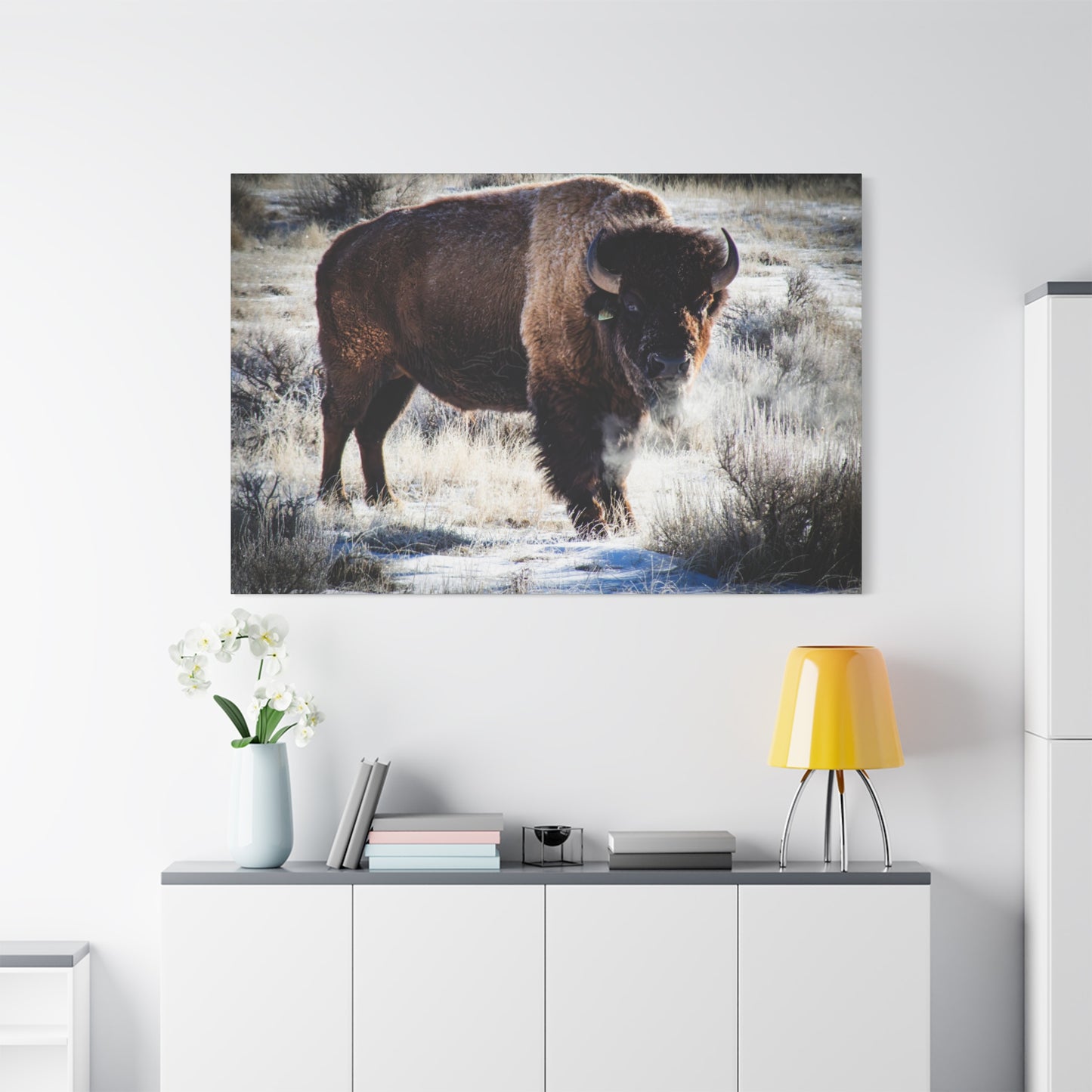 Early Morning Buffalo Canvas