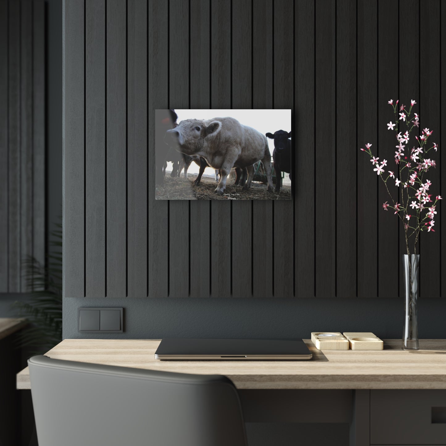 Marshmallow Acrylic Prints