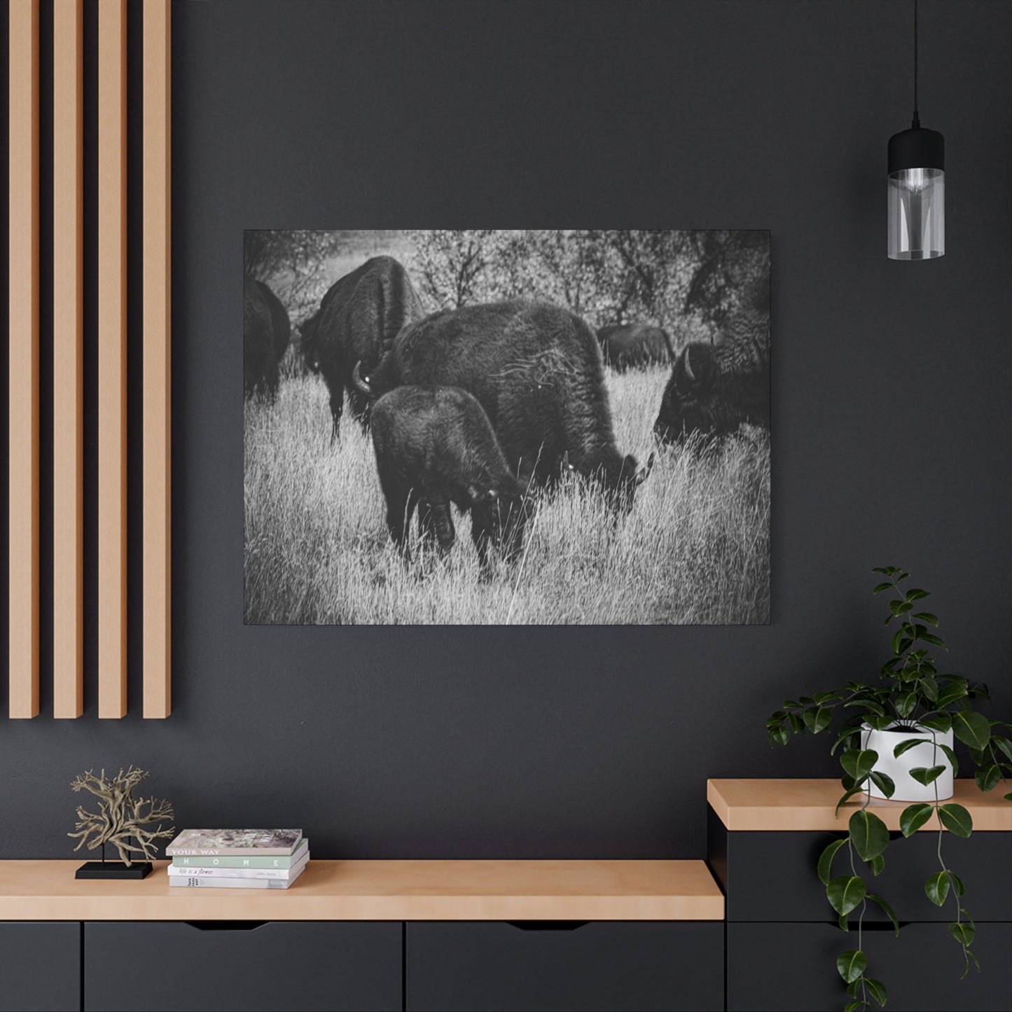 Black and White Buffalo Canvas