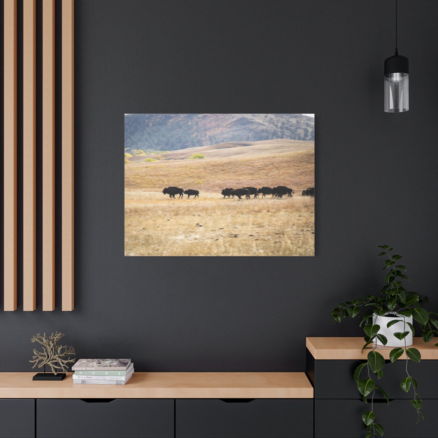 Beginning Buffalo Herd Canvas