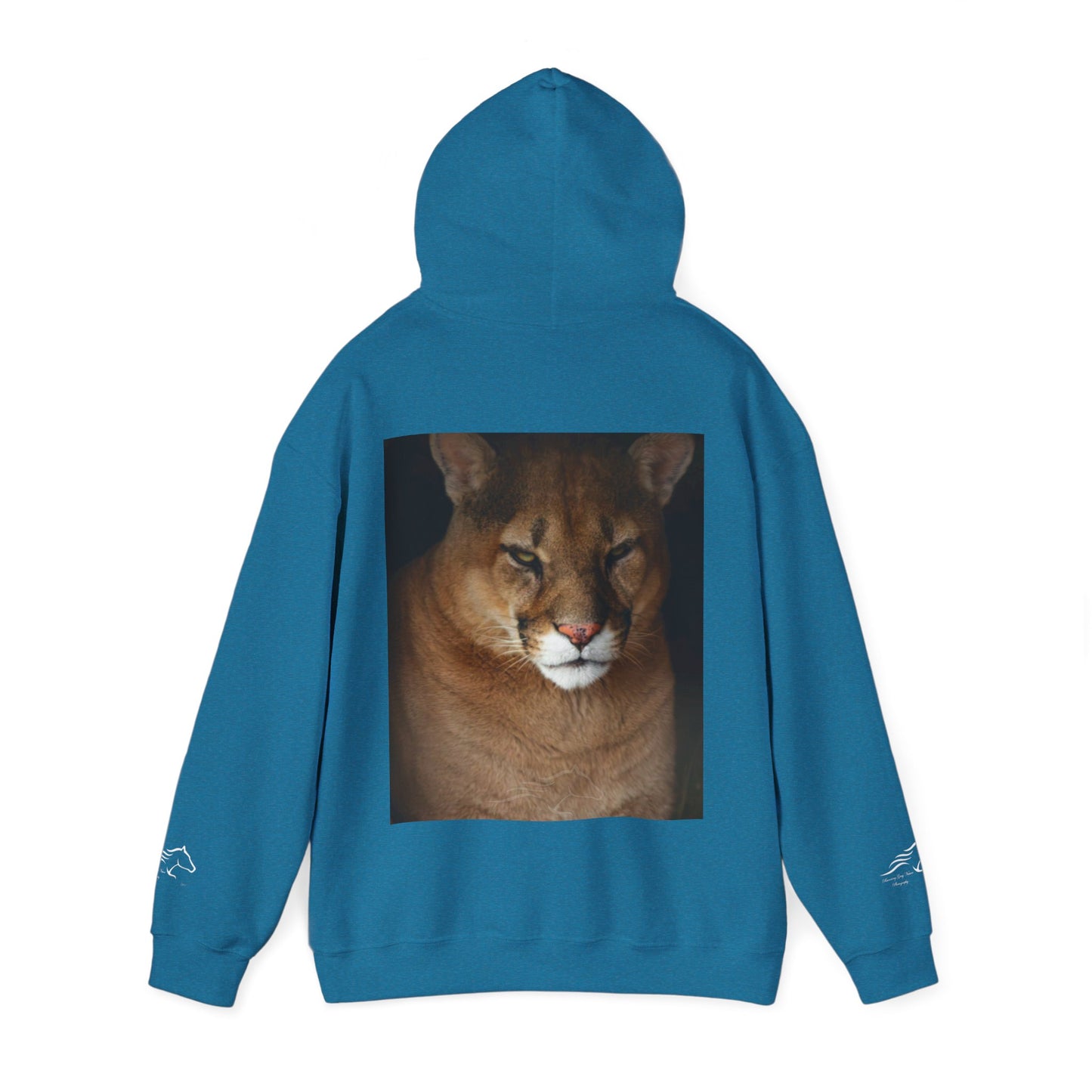 Big Cat Hoodie