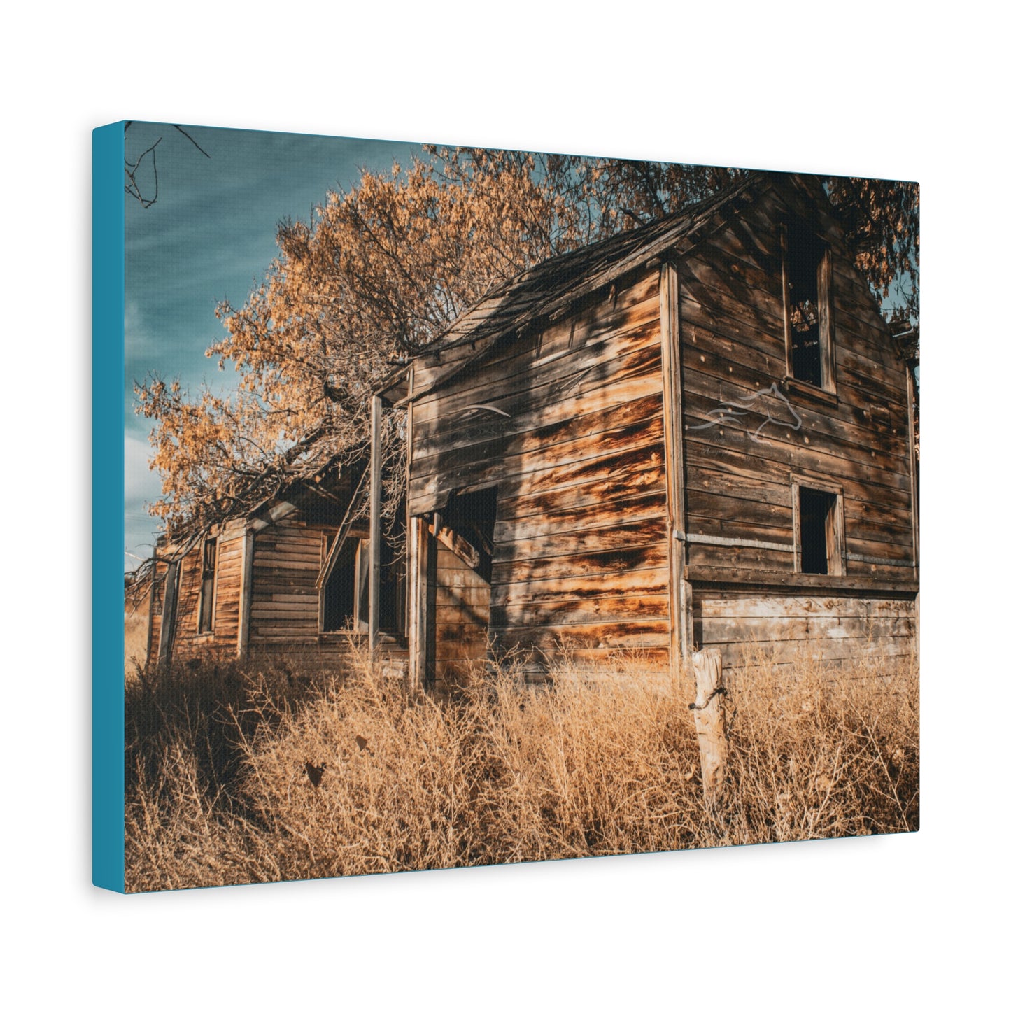 Vintage Cottage Canvas
