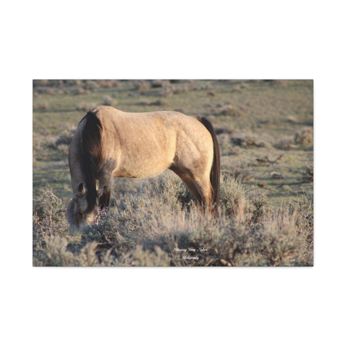 Buckskin Matte Canvas, Stretched, 1.25"