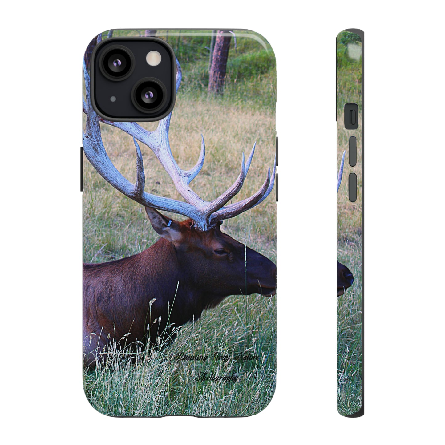 Elk Chilling Tough Cases