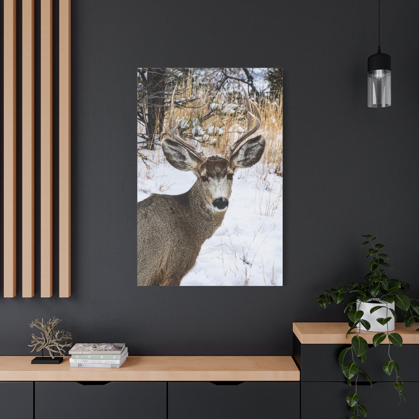 Deer Antlers in February Canvas