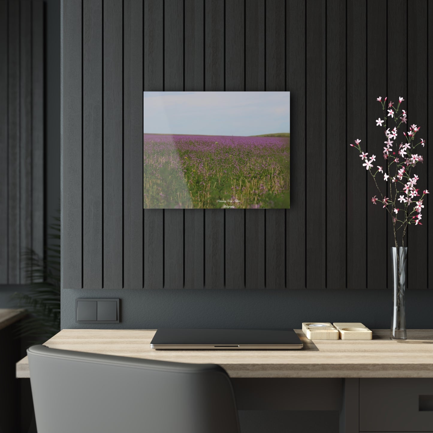 Purple Dead Nettle Field Acrylic Prints