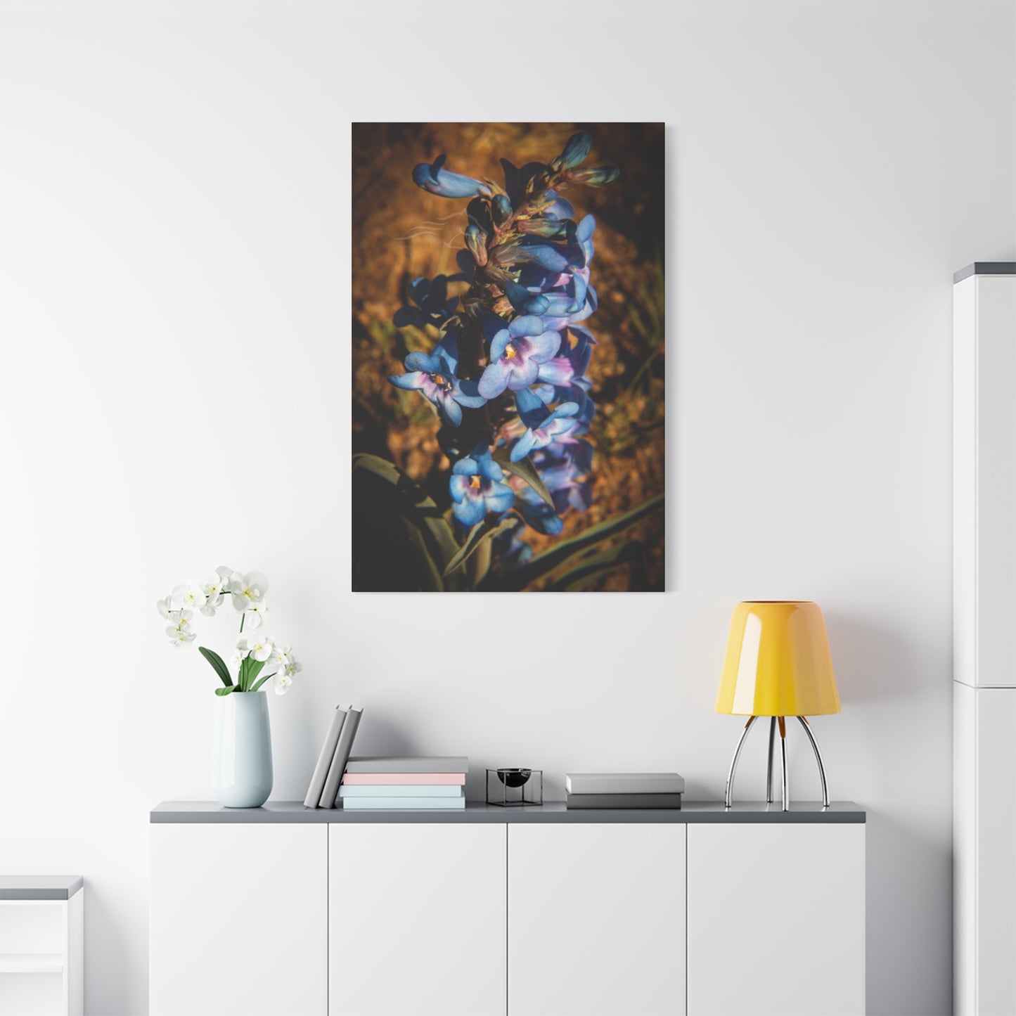 Showy Penstemon Canvas