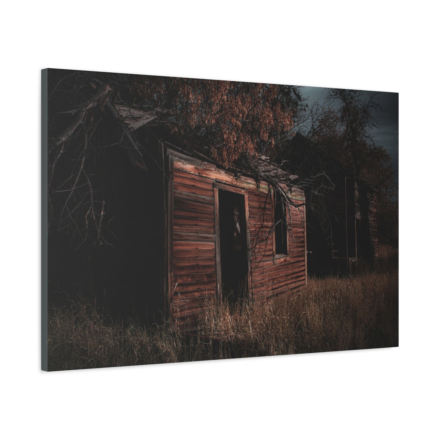 Haunting Rustic Canvas