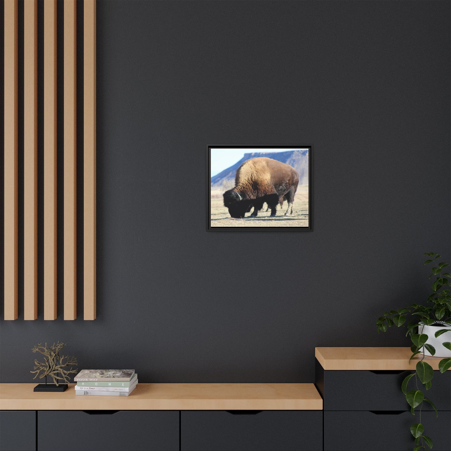 Big Daddy Buffalo Framed Canvas