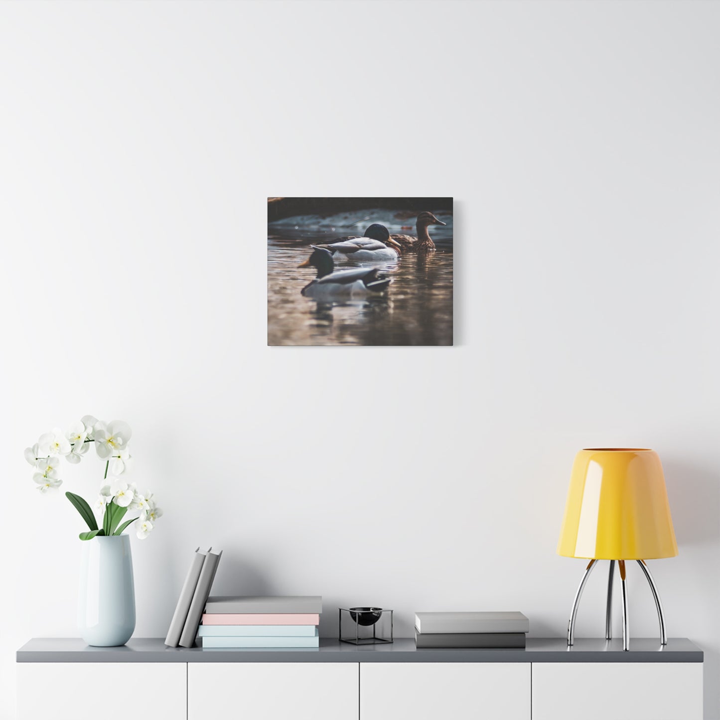 Mallard Ducks Canvas