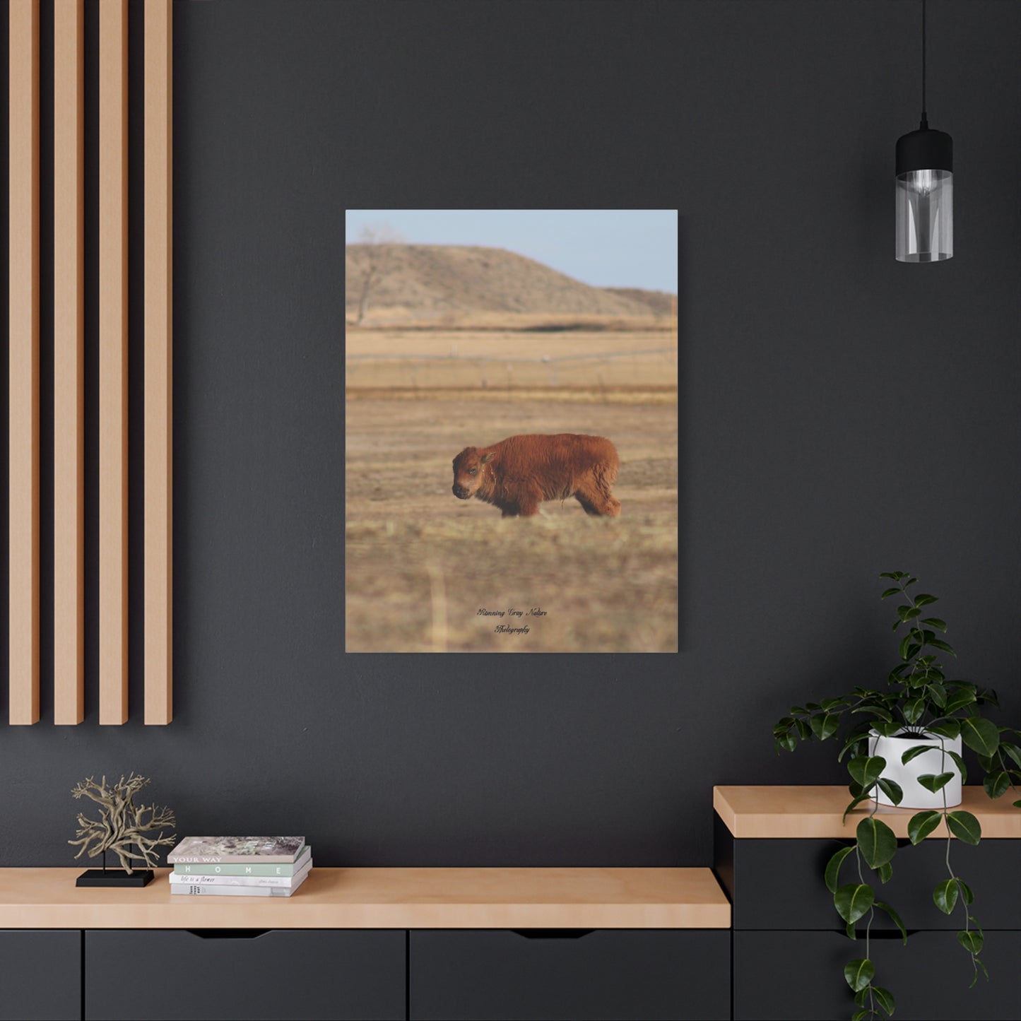 Baby Buffalo Matte Canvas, Stretched, 1.25"