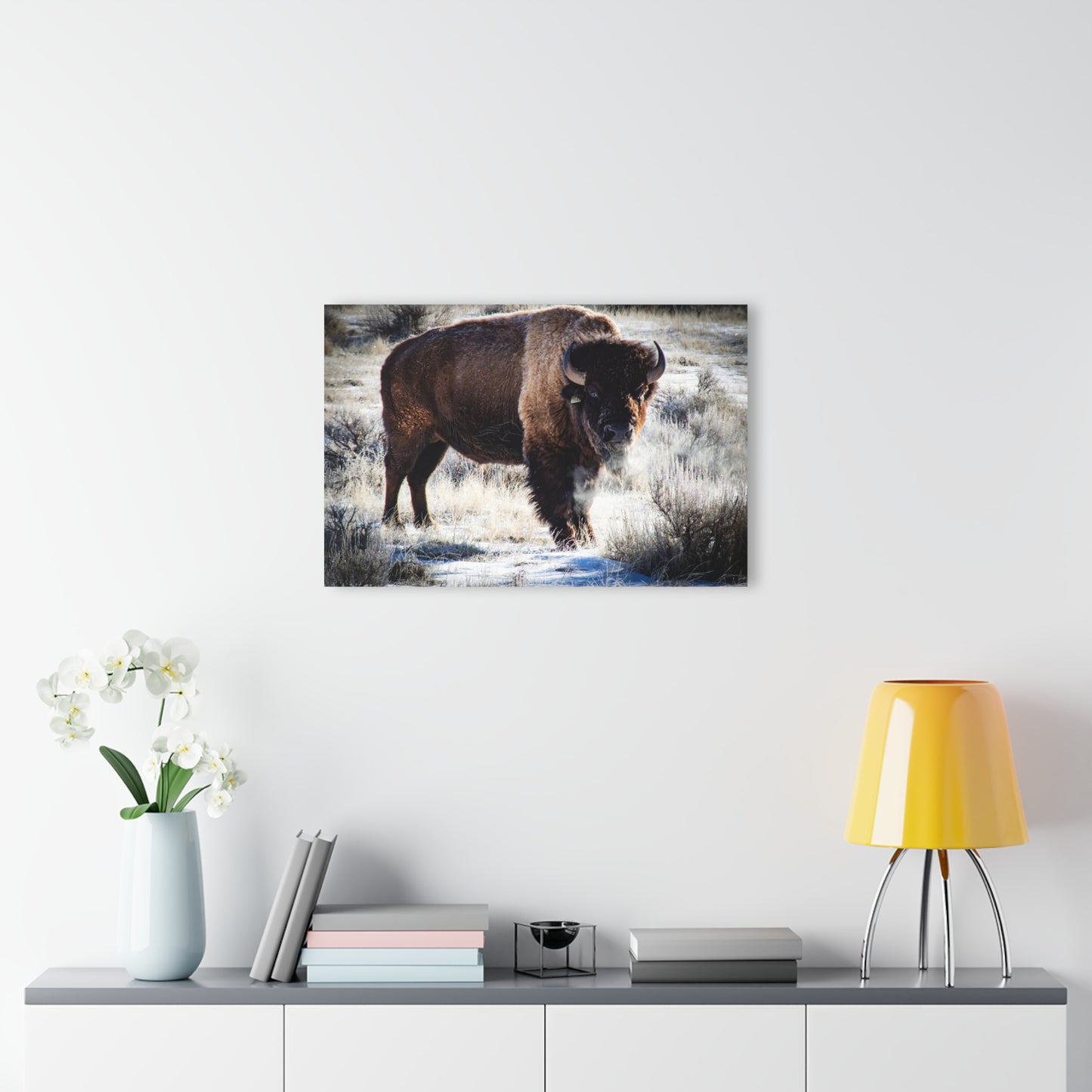 Early Morning Buffalo Acrylic