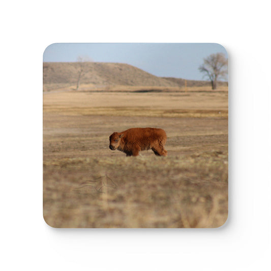 Corkwood Coaster Set