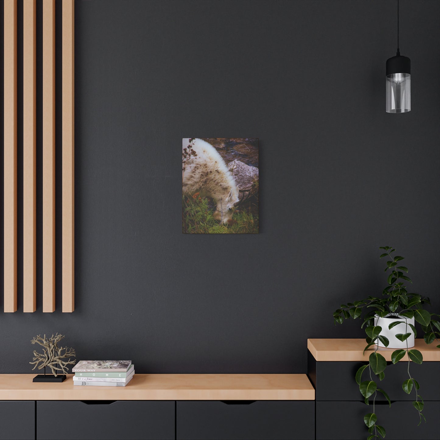 Mountain Goat Canvas
