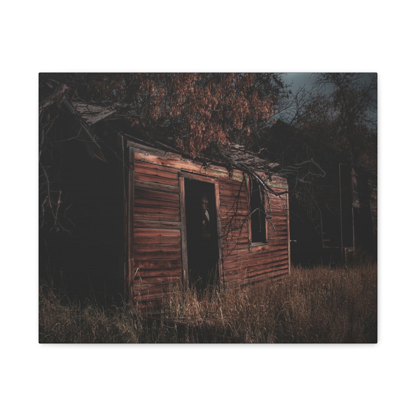Haunting Rustic Canvas