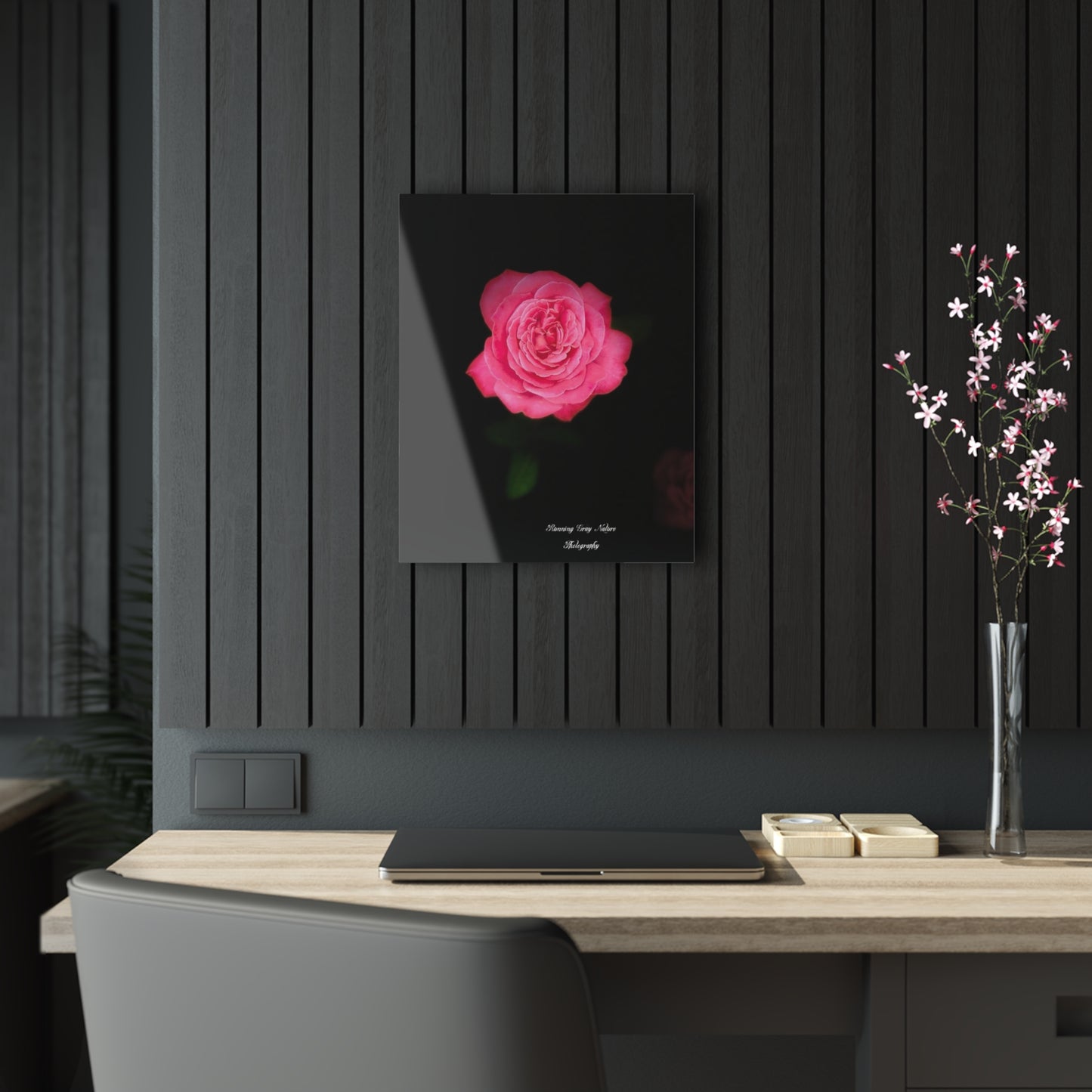 Pink Peace Rose Acrylic Prints