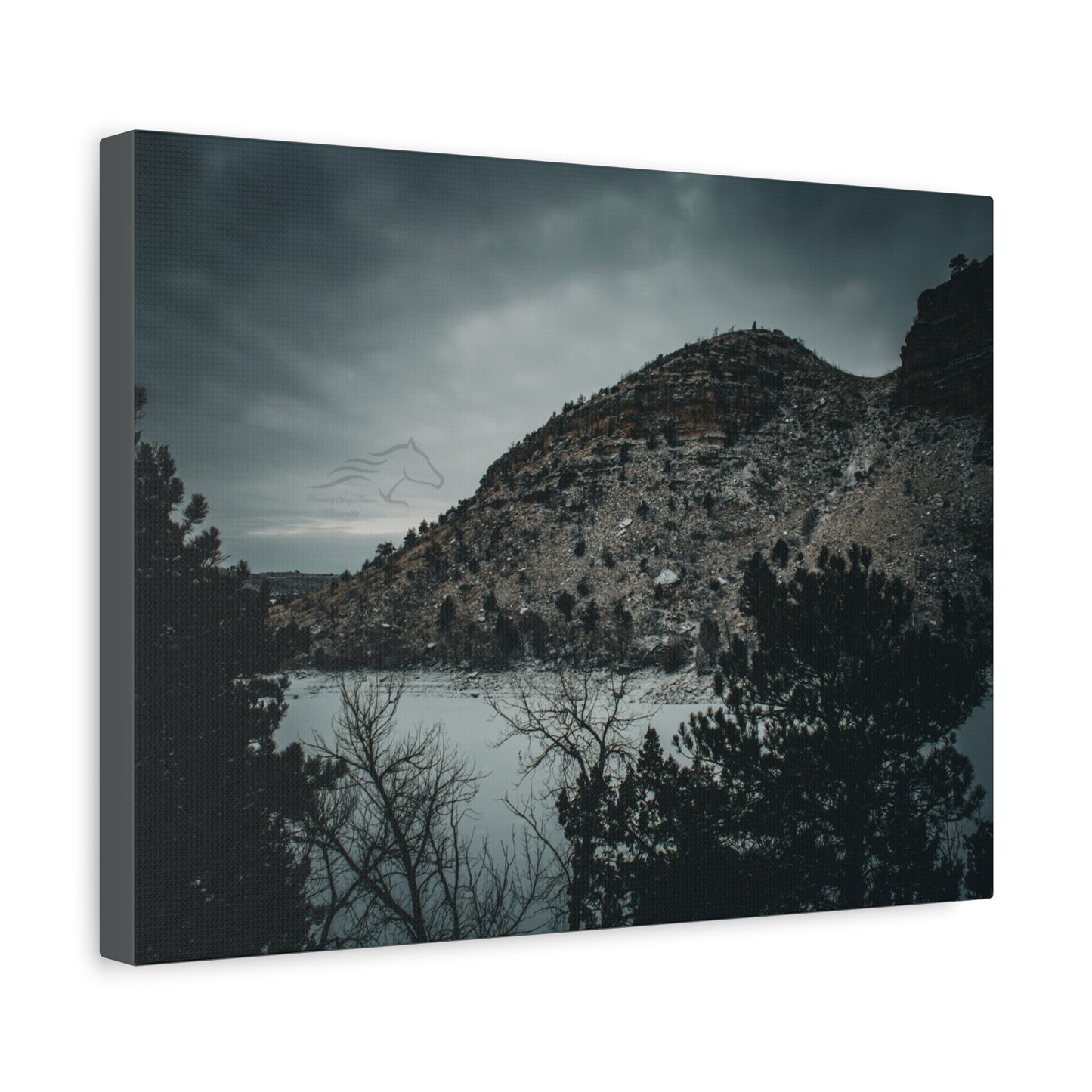 Moody Landscape Canvas
