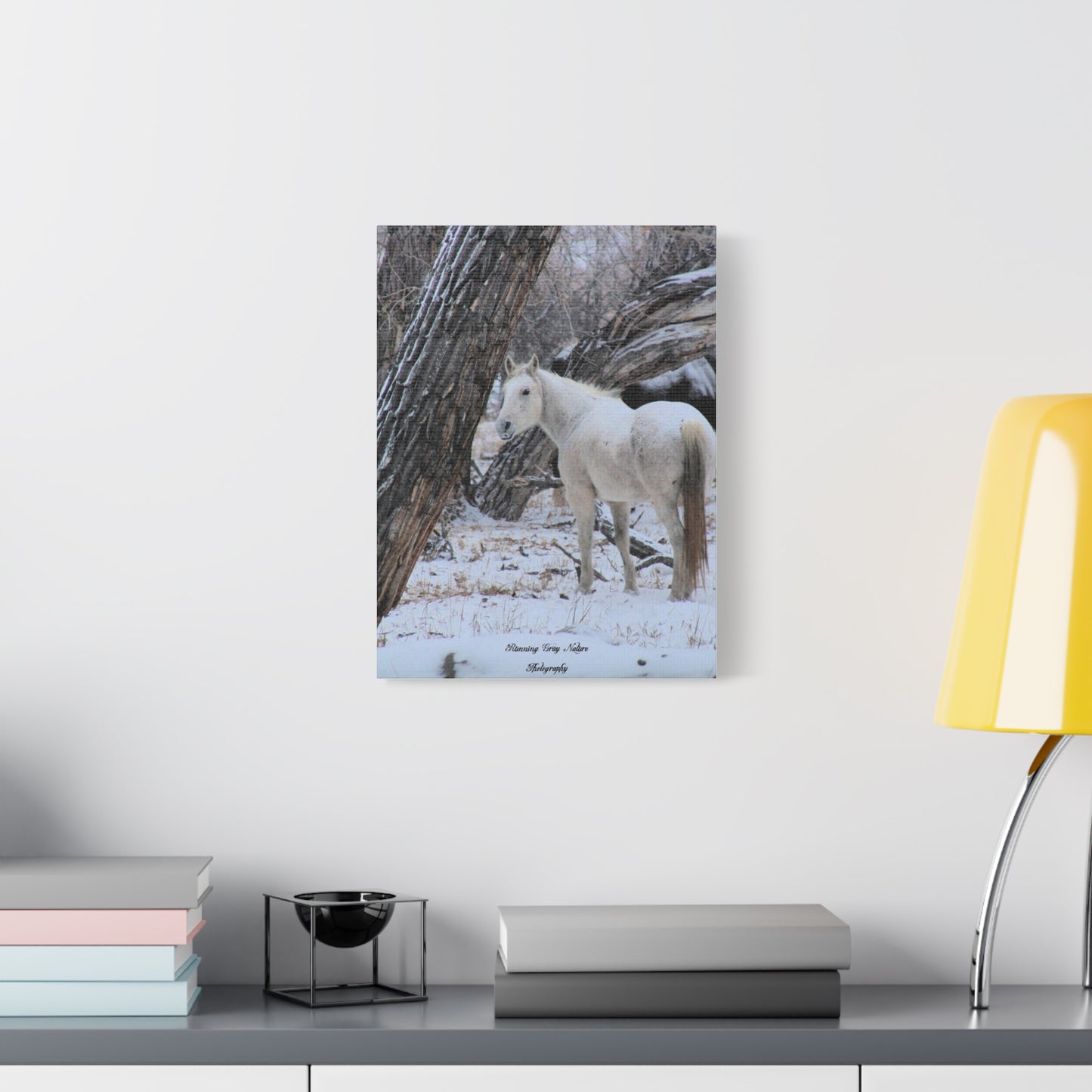 Winter White Horse Matte Canvas, Stretched, 1.25"