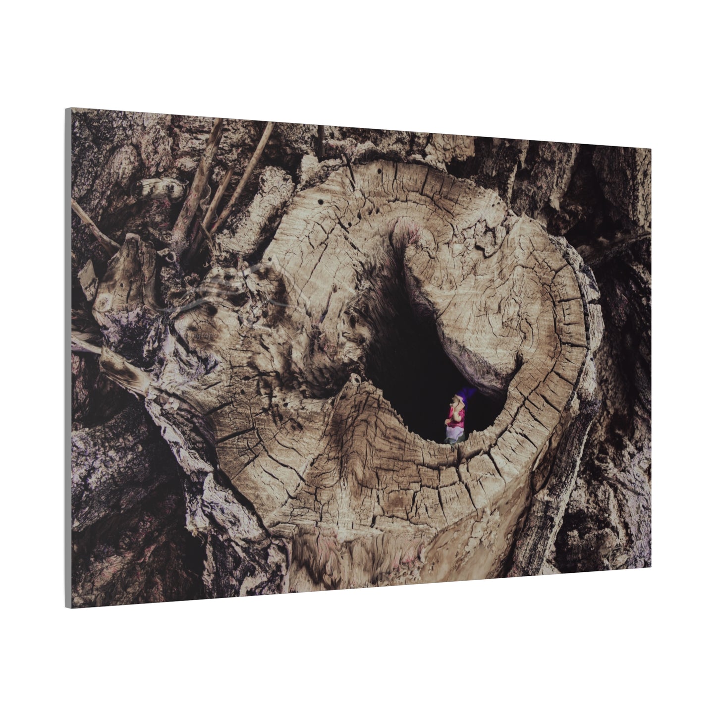 Fairy in a Tree Canvas