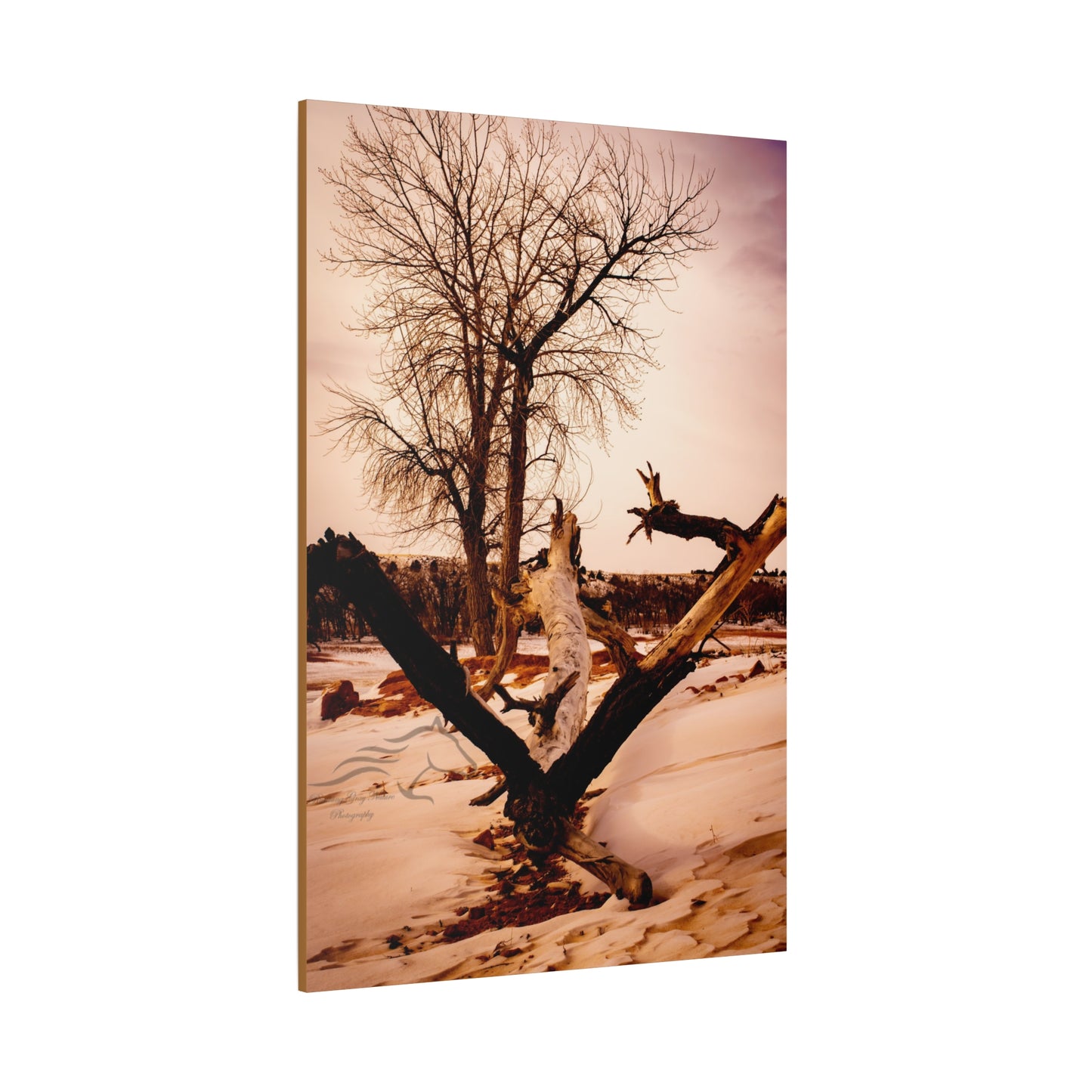 Rustic Landscape Canvas