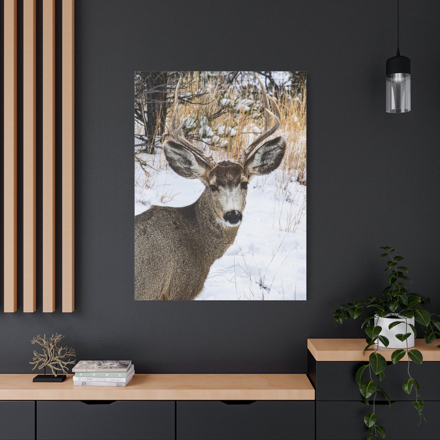 Deer Antlers in February Canvas