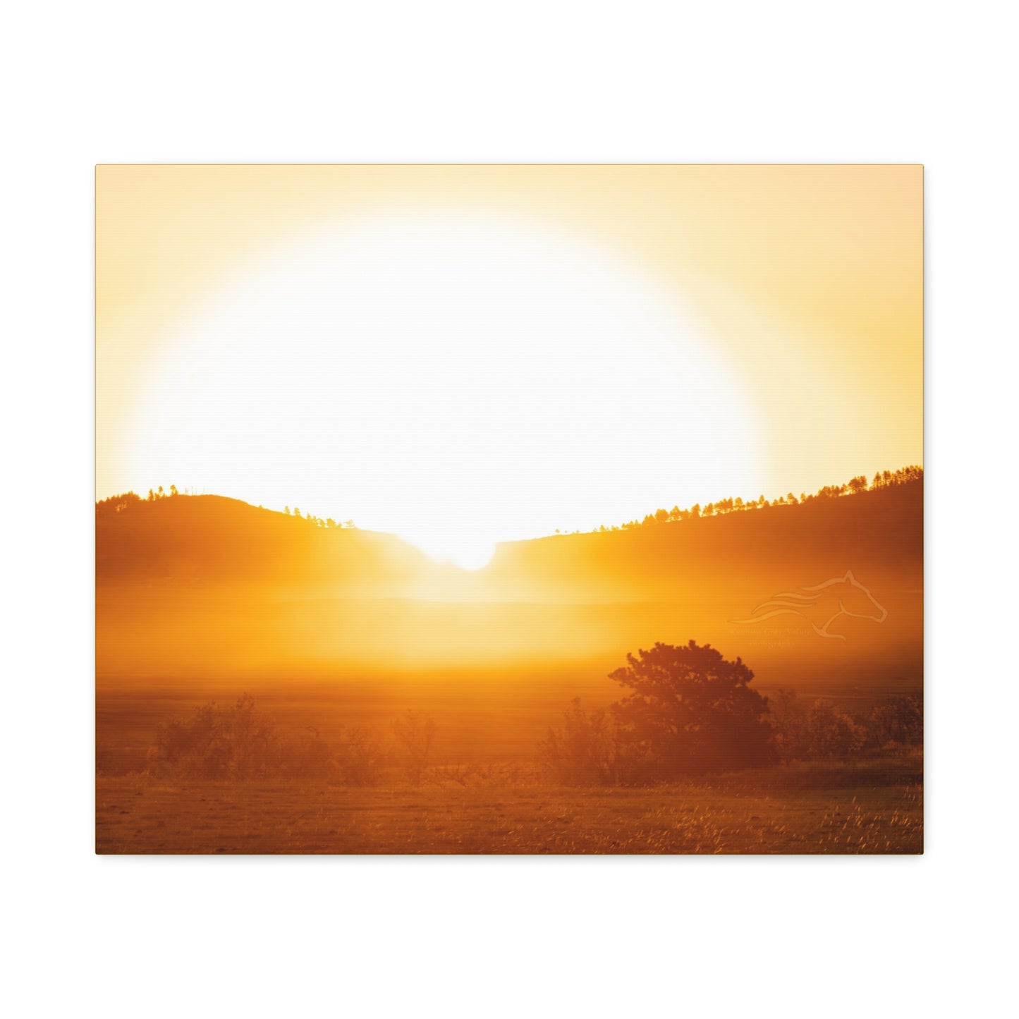 Buffalo Round Up Sunrise Canvas