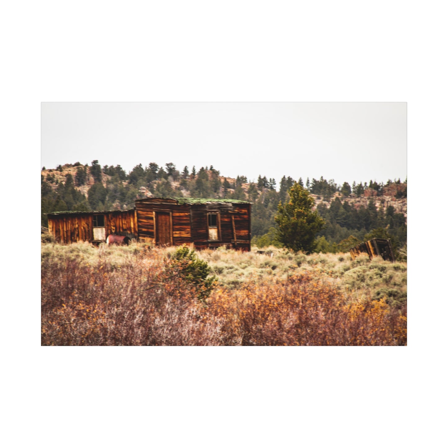 Rustic Landscape Canvas