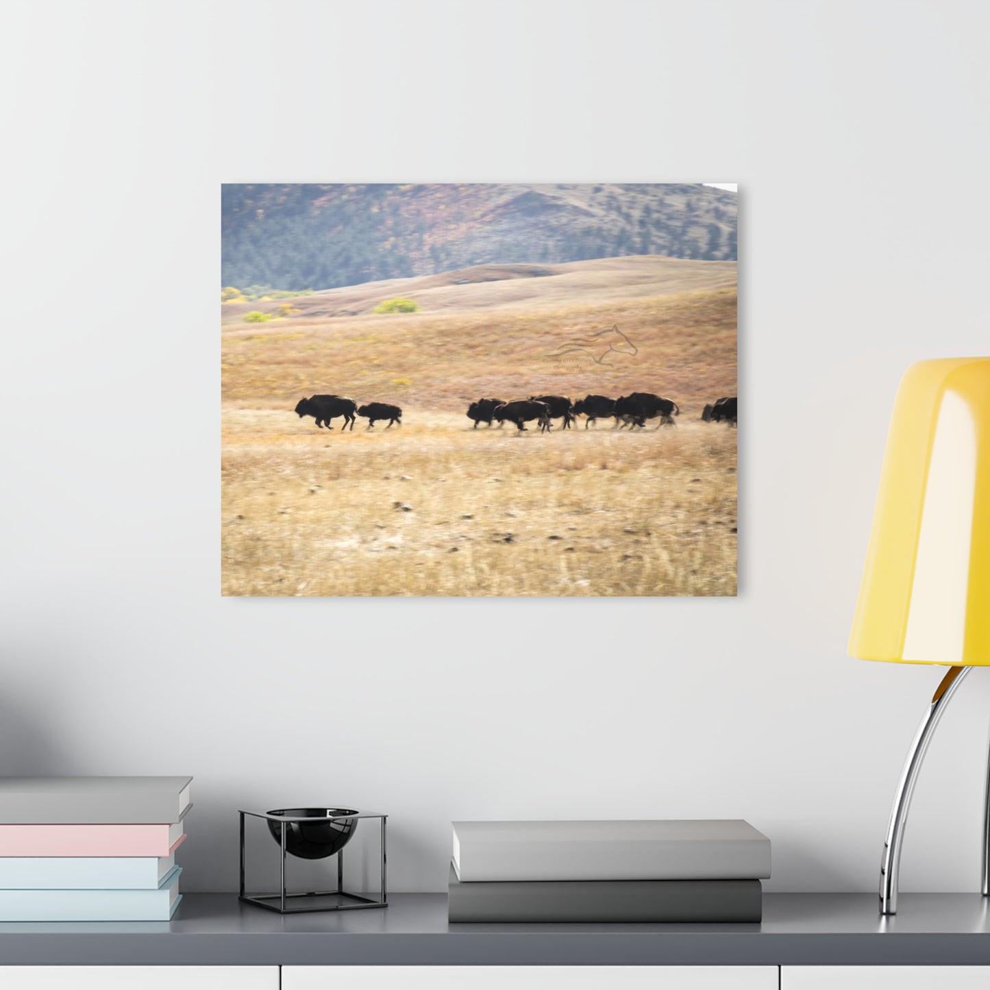 Beginning Buffalo Herd Acrylic