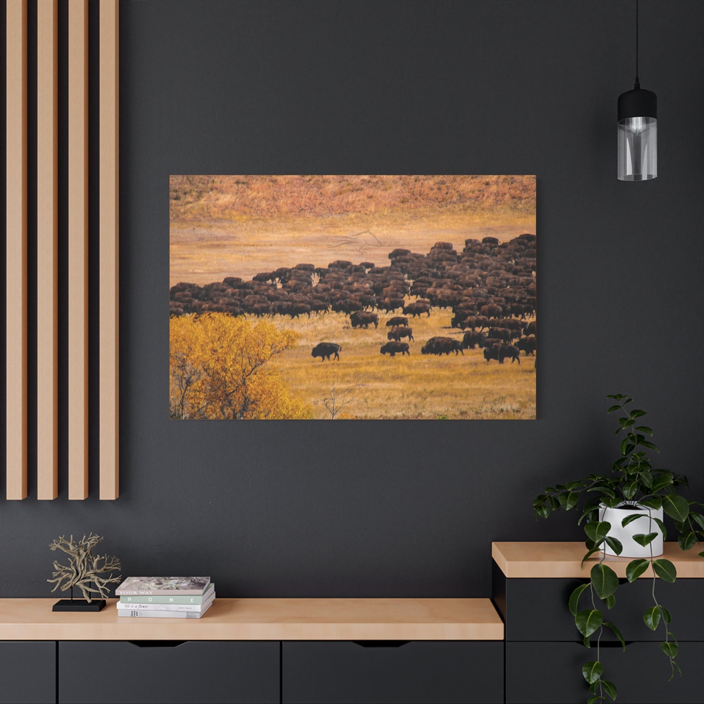 Buffalo all Gathered Canvas