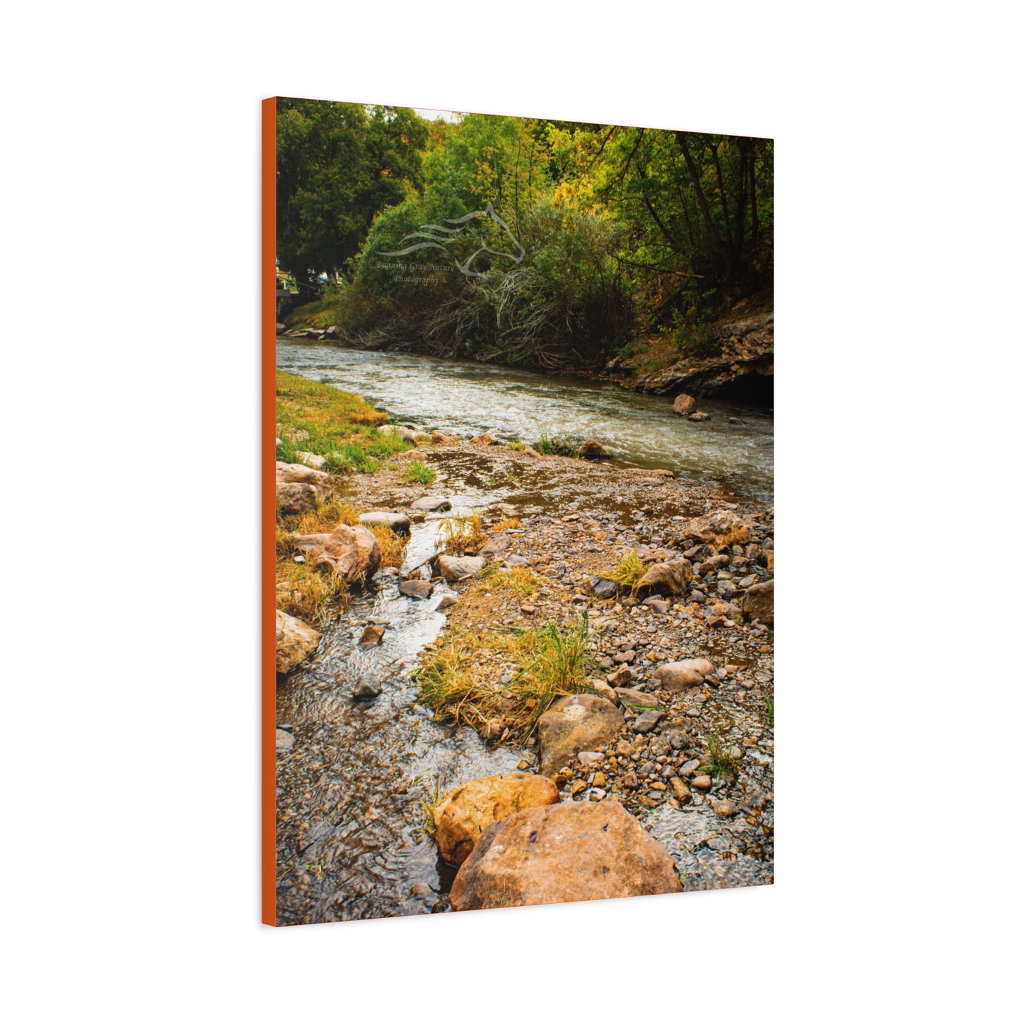 By the Water Ayres Natural Bridge Canvas
