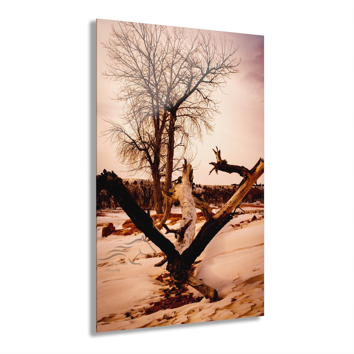 Rustic Landscape Acrylic